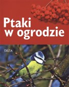 Książka : Ptaki w og... - Ulrich Schmid