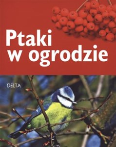 Bild von Ptaki w ogrodzie