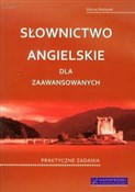 Polska książka : Słownictwo... - Maciej Matasek