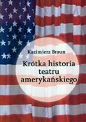 Polska książka : Krótka his... - Kazimierz Braun