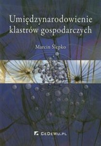 Obrazek Umiędzynarodowienie klastrów gospodarczych