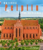 Katedra w ... - Wincenty Pytlik, Piotr Jaworek -  polnische Bücher