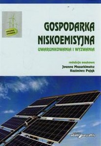 Obrazek Gospodarka niskoemisyjna Uwarunkowania i wyzwania