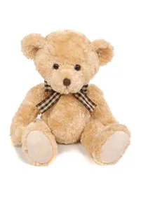 Bild von Miś Thomas 36 cm