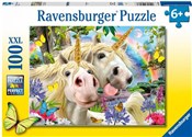 Polnische buch : Puzzle 2D ...