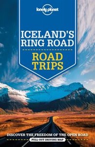 Bild von Iceland's Ring Road