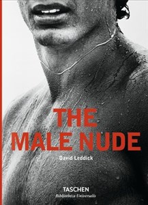 Bild von Male Nude