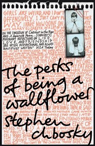 Bild von The Perks of Being a Wallflower