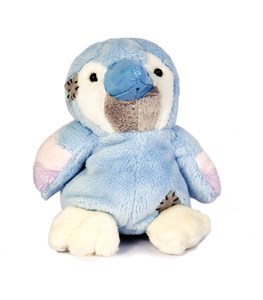 Obrazek Papuga niebieski nosek