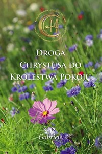 Bild von Droga Chrystusa do Królestwa Pokoju