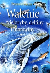 Obrazek Walenie wieloryby, delfiny i morświny