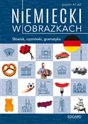 Polska książka : Niemiecki ... - Magdalena Piotrowska