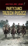 Partyzanci... - Adolf Pilch -  polnische Bücher