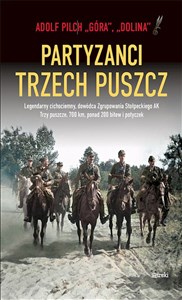 Obrazek Partyzanci trzech Puszcz wyd. 2