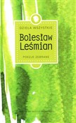 Dzieła wsz... - Bolesław Leśmian -  fremdsprachige bücher polnisch 
