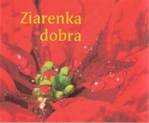 Obrazek Perełka 173 - Ziarenka dobra