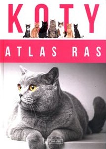 Obrazek Koty Atlas ras