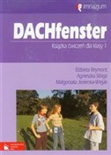 Dachfenste... - Małgorzata Jezierska-Wiejak, Elżbieta Reymont, Agnieszka Sibiga -  polnische Bücher