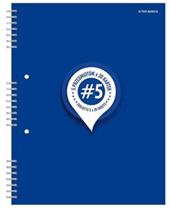 Bild von Kołobrulion B5/100K kratka Student book (5szt)