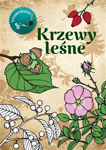 Bild von Krzewy leśne Kolorowanka