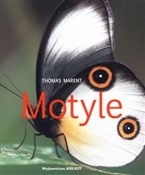 Zobacz : Motyle - Thomas Marent