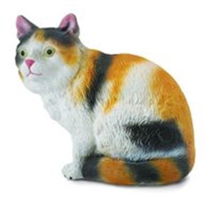Bild von Kot domowy siedzący trzy-kolorowy S
