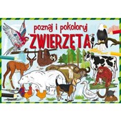 Polska książka : Poznaj i p... - Krzysztof Tonder