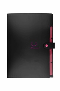 Bild von Teczka A4 plastikowa z 5 przegródkami czarna