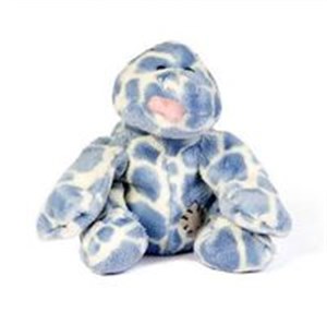 Obrazek Jaszczurka niebieski nosek