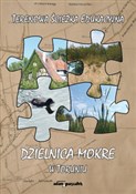 Polnische buch : Dzielnica ...