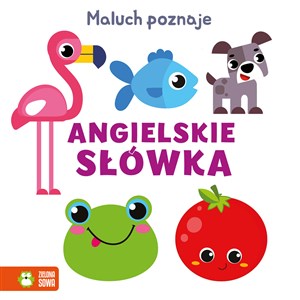 Bild von Maluch poznaje Angielskie słówka