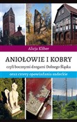 Polska książka : Aniołowie ... - Alicja Kliber