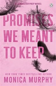 Bild von Promises We Meant To Keep