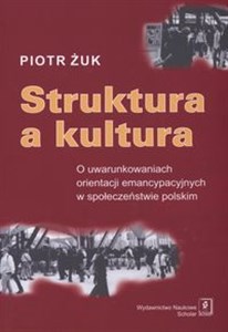 Obrazek Struktura a kultura