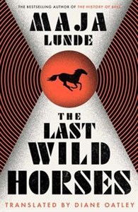 Bild von The Last Wild Horses