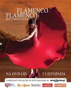 Bild von Flamenco, flamenco