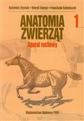 Polnische buch : Anatomia z... - Kazimierz Krysiak, Henryk Kobryń, Franciszek Kobryńczuk