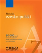 Polska książka : Słownik cz... - Janusz Siatkowski, Mieczysław Basaj