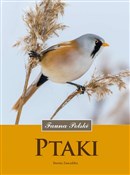 Książka : Ptaki Faun... - Dorota Zawadzka