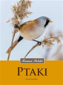 Bild von Ptaki Fauna Polski