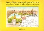 Dolny Śląs... - Sławomir Mierzwa -  polnische Bücher