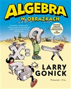 Algebra w ... - Larry Gonick -  Polnische Buchandlung 