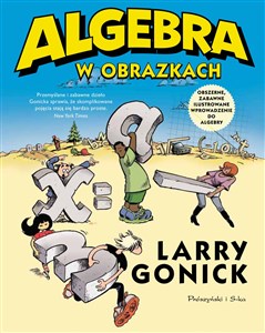 Obrazek Algebra w obrazkach