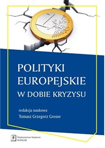 Obrazek Polityki europejskie w dobie kryzysu