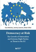 Polska książka : Democracy ... - Ewa Rokicka, Jeremy Leaman, Dieter Eißel