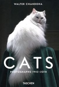 Bild von Cats Photographs 1942-2018