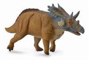 Bild von Mercuriceratops L