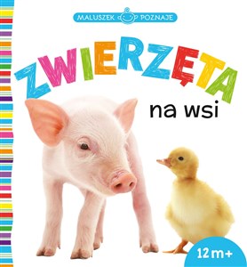 Obrazek Maluszek poznaje Zwierzęta na wsi