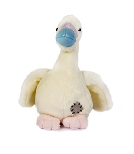 Bild von Łabędź niebieski nosek