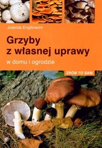 Bild von GRZYBY Z WŁASNEJ UPRAWY W DOMU I OGRODZIE